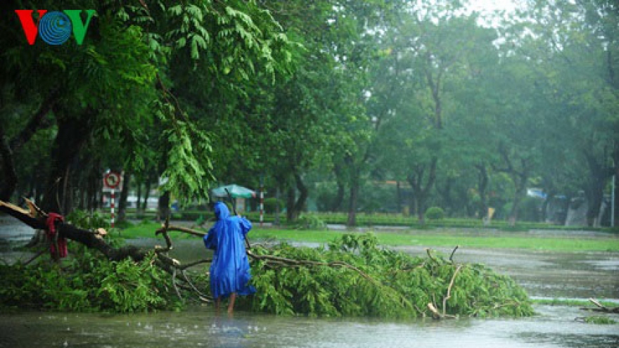 Hue City bracing for Typhoon Nari