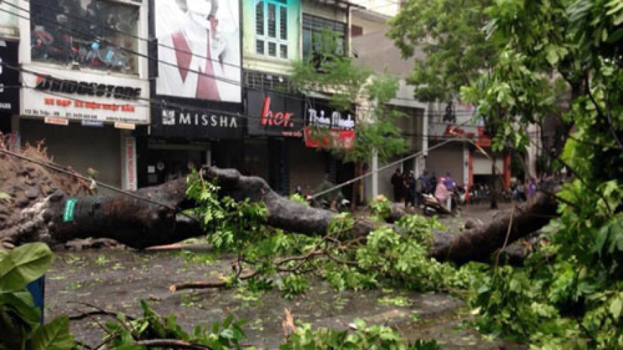 
        Vietnam set for super-stormy typhoon season
                              