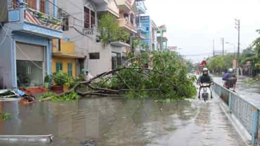 Storm Mirinae takes heavy toll on northern Vietnam