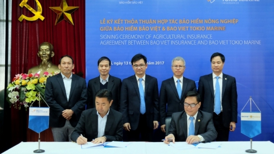 Bao Viet Insurance, Bao Viet Tokio Marine prioritises agricultural insurance