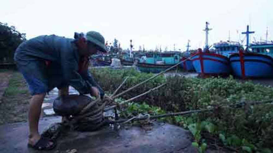 Northern Vietnam prepares for storm Mirinae