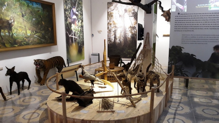 Museum of Nature and Culture opens in Nghe An