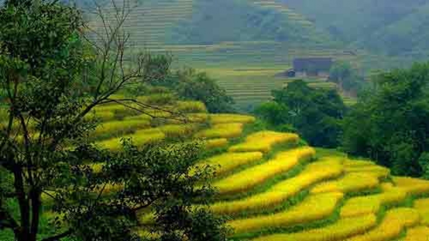 Lao Cai’s new destinations increasingly attractive to tourists
