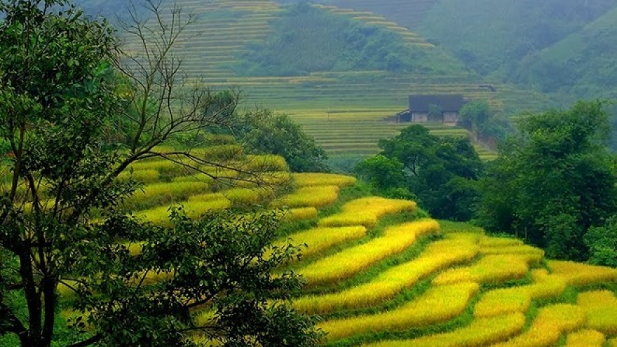 Bat Xat Fall Festival 2018 kicks off in Lao Cai