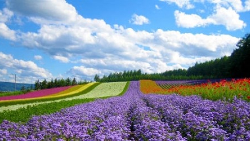 Travel products to be auctioned for the first time