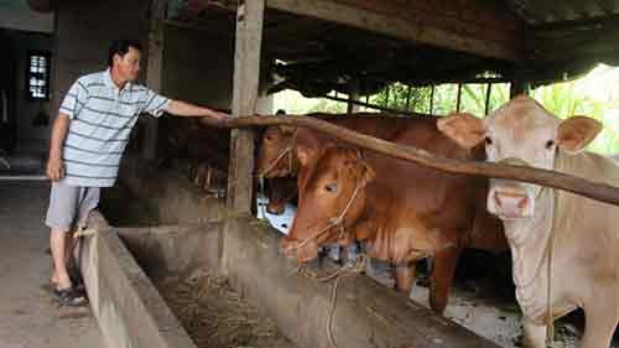 Filtration system eases water shortage in Ben Tre