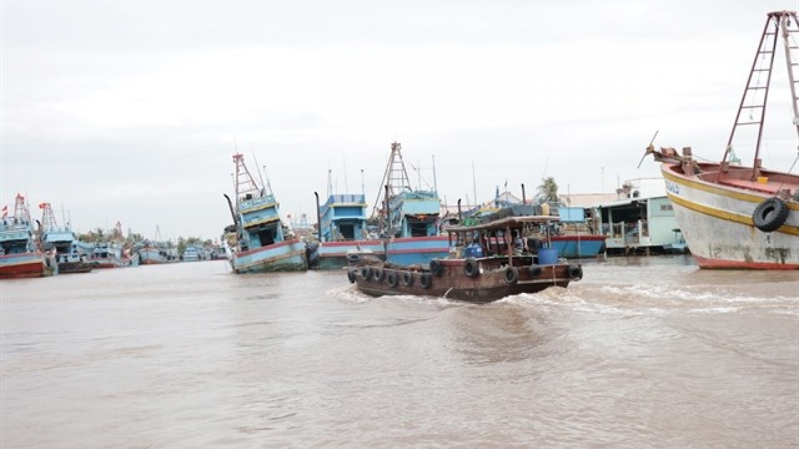 Ben Tre eyes sustainable development of marine economy