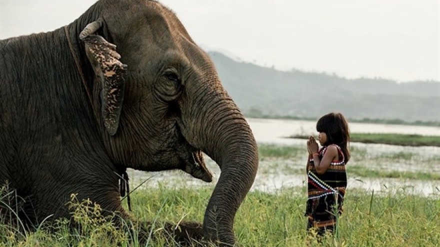 French photographer to open gallery in HCM City