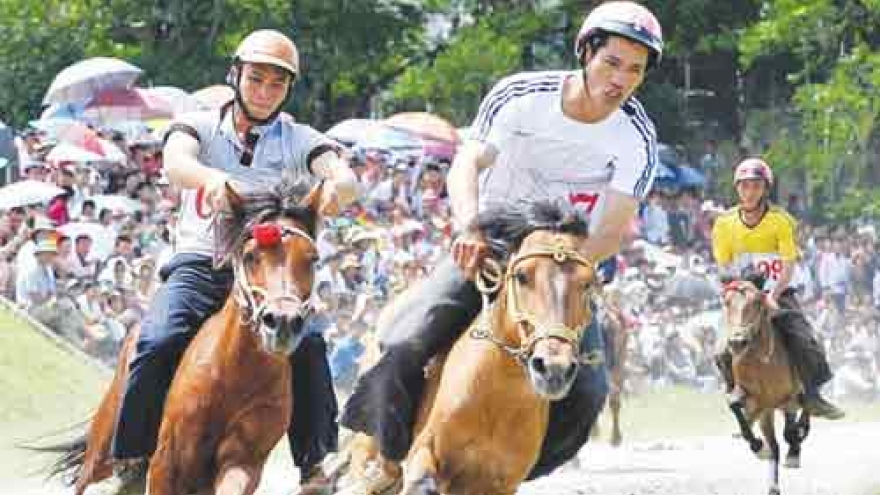 Vietnam fine-tunes rules on horse racing, int’l football betting
