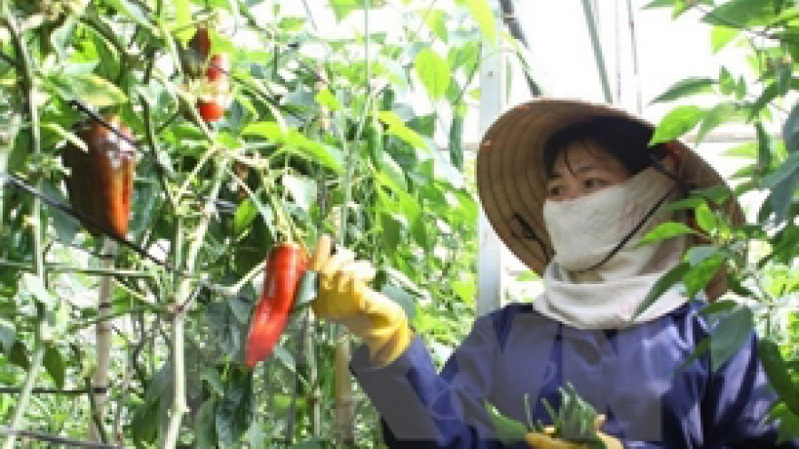 
        Hoa Binh benefits from public service improvement project
                              