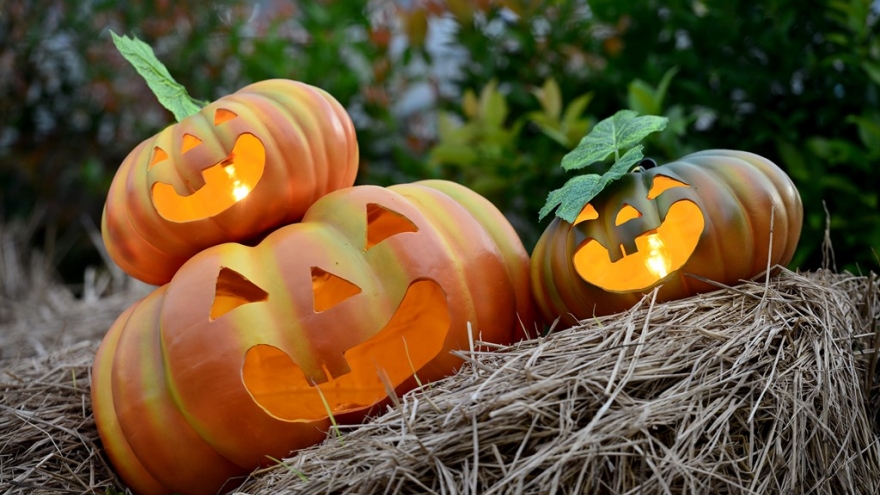 Check out spectacular Jack O’ Lanterns of HCM City