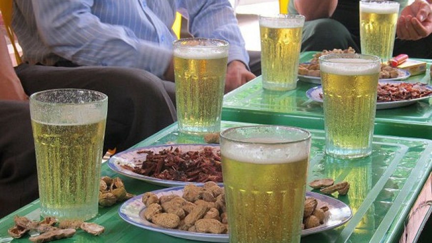  Vietnam in a nutshell: A guide for tourists