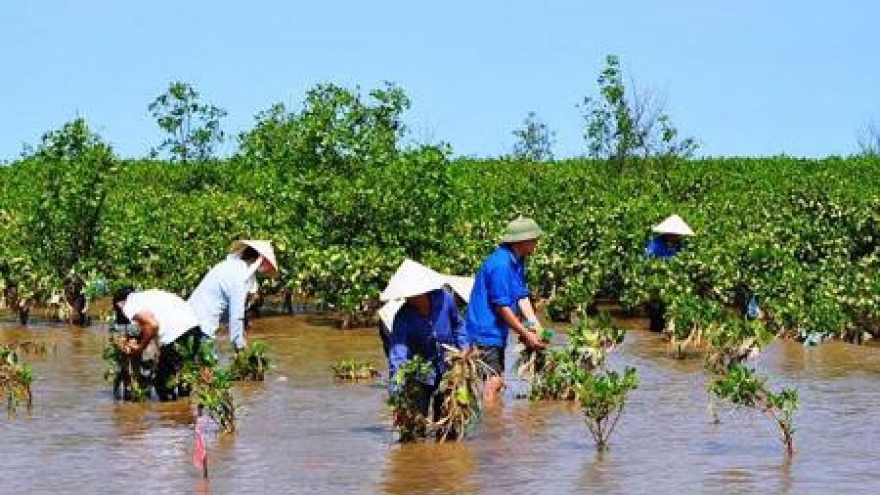 Vietnam’s adaptation to climate change