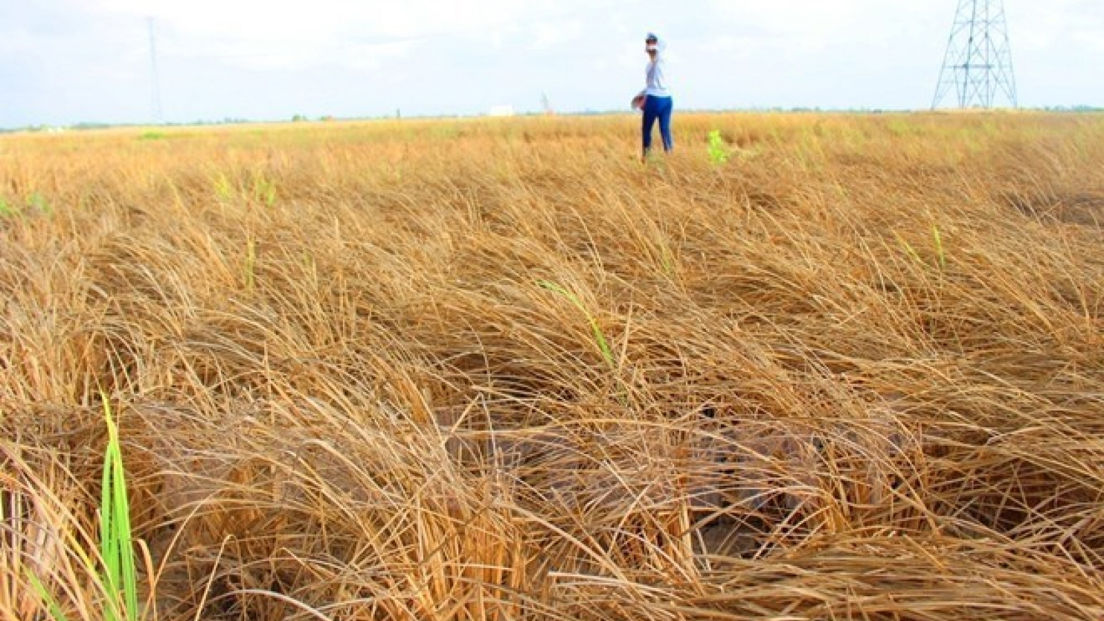Vietnam seeks solutions to realise Paris Agreement by 2030