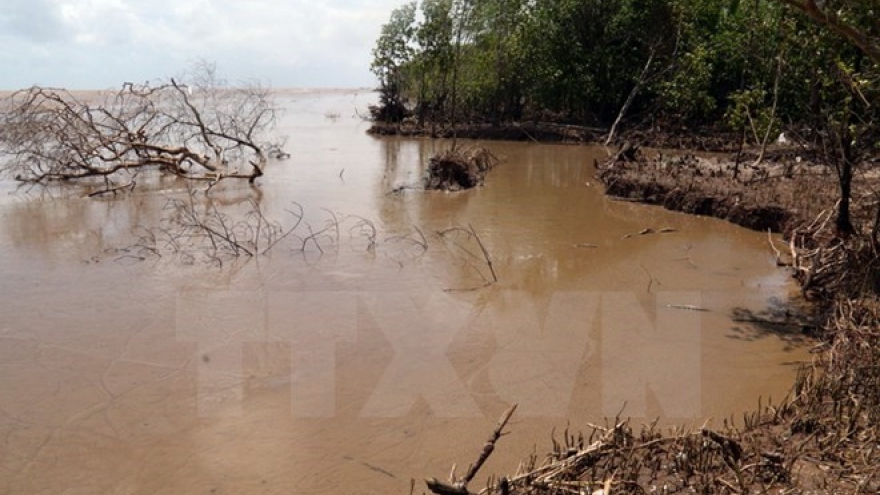 Tra Vinh needs VND76 billion to cope with drought, saline intrusion