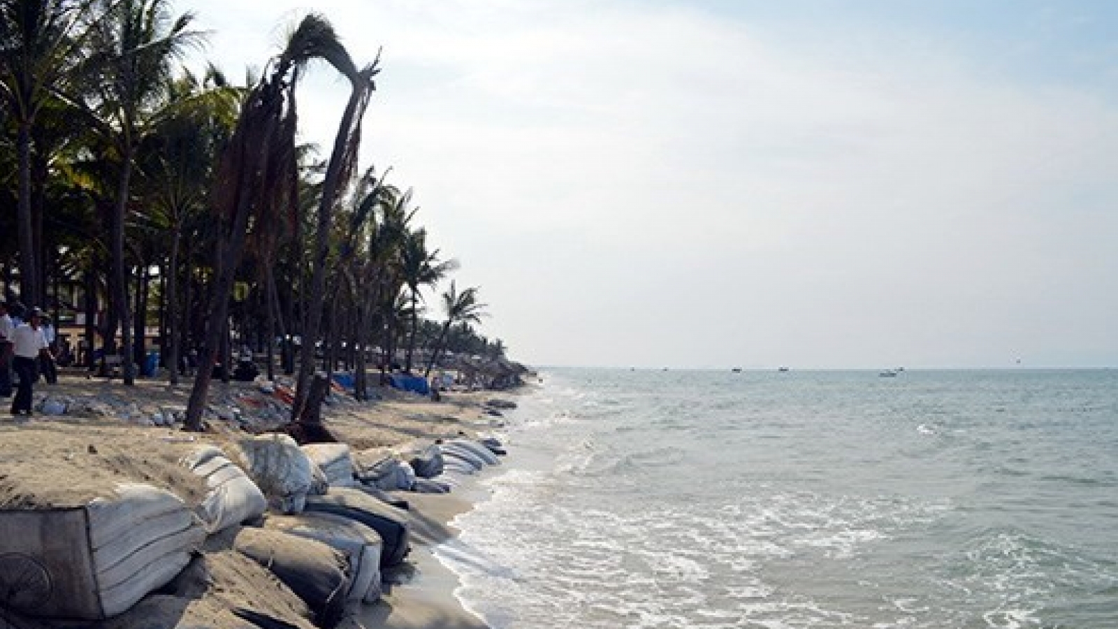 Quang Nam asked to boost sea-based economy