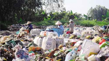Biomass fuel projects tempt foreign investors
