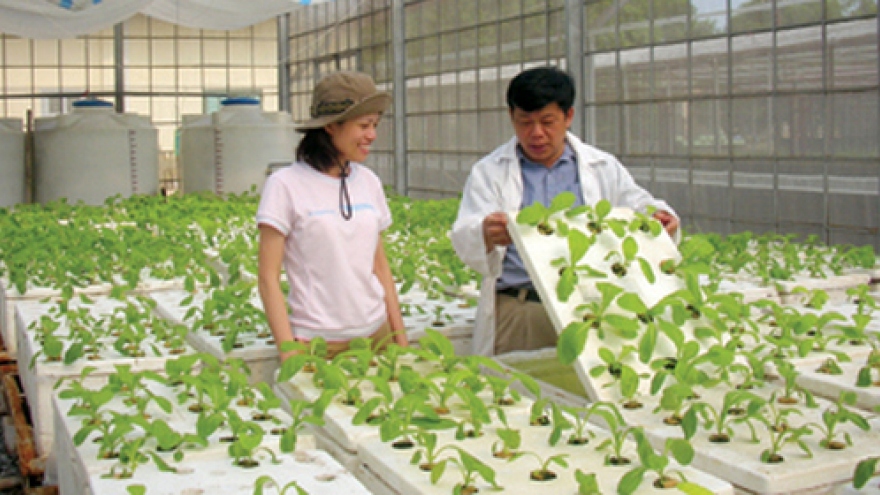 Experts: crop biotechnology to help with food security
