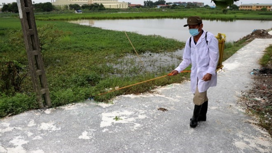 Over VND760 billion for bird flu control during 2019-2025