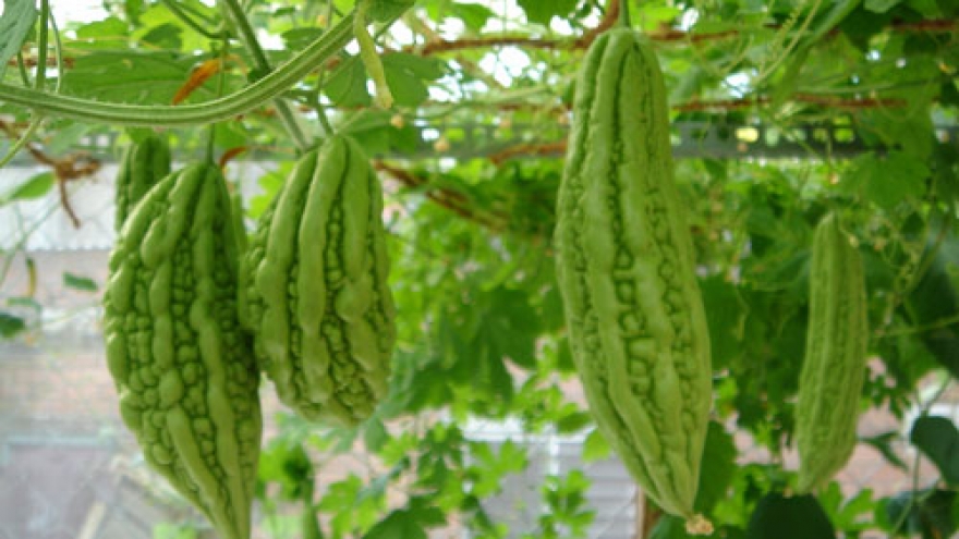 EU warns Vietnam fruit and vegetable growers
