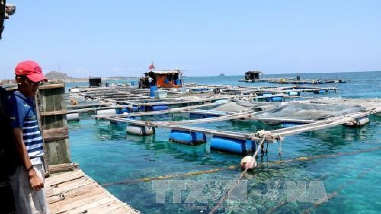Khanh Hoa hosts ASEAN-India workshop on blue economy