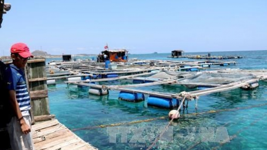 Khanh Hoa hosts ASEAN-India workshop on blue economy