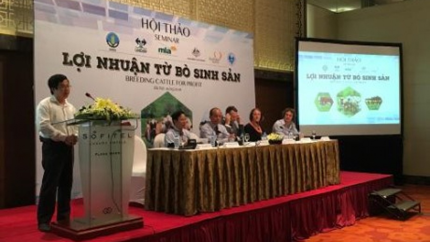 Vietnam eyes sustainable growth of cattle industry