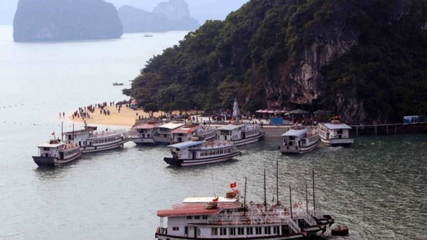 Ha Long city to inspect operations of tourist boats