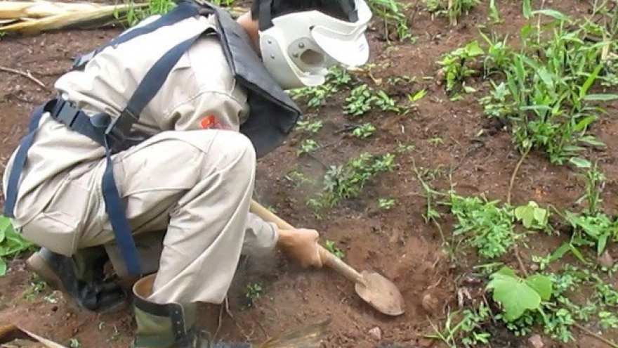 Shrapnel bombs cleared in central Quang Tri province