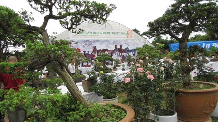 Bonsai, rose show cheers nature lovers