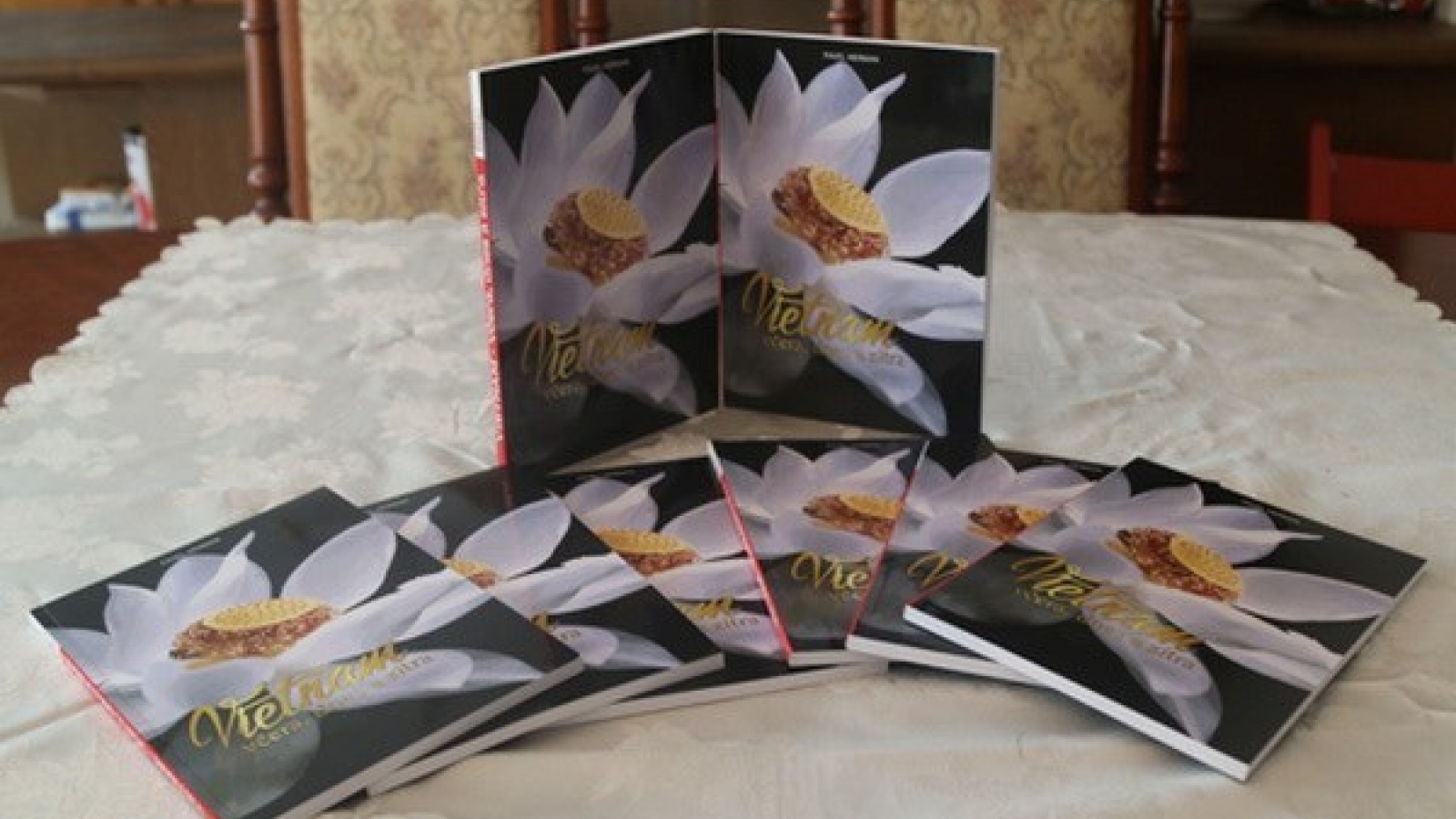 Czech journalist debuts book on Vietnam