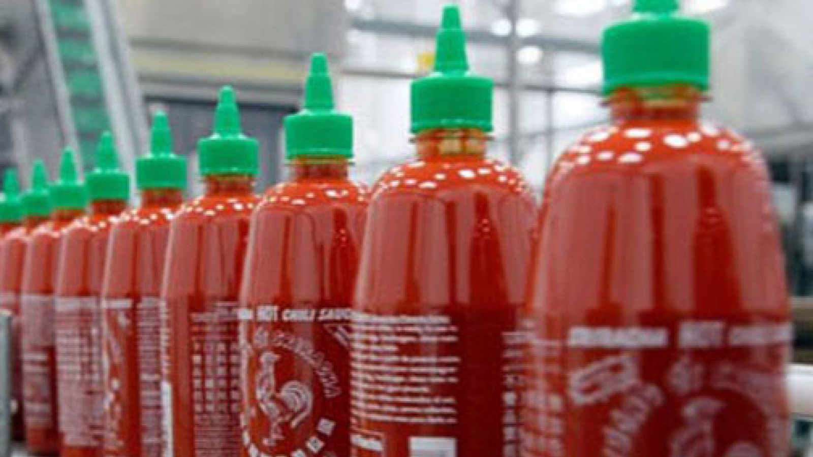 Brand names make headway in foreign markets