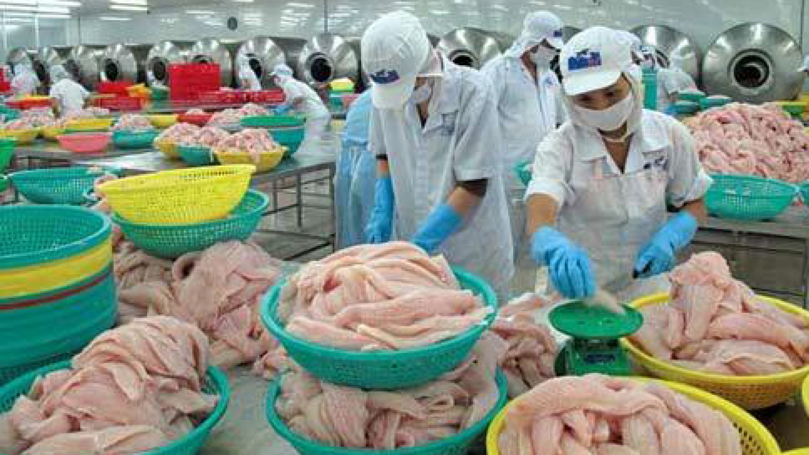 Vietnam files to lift import ban on seafood 