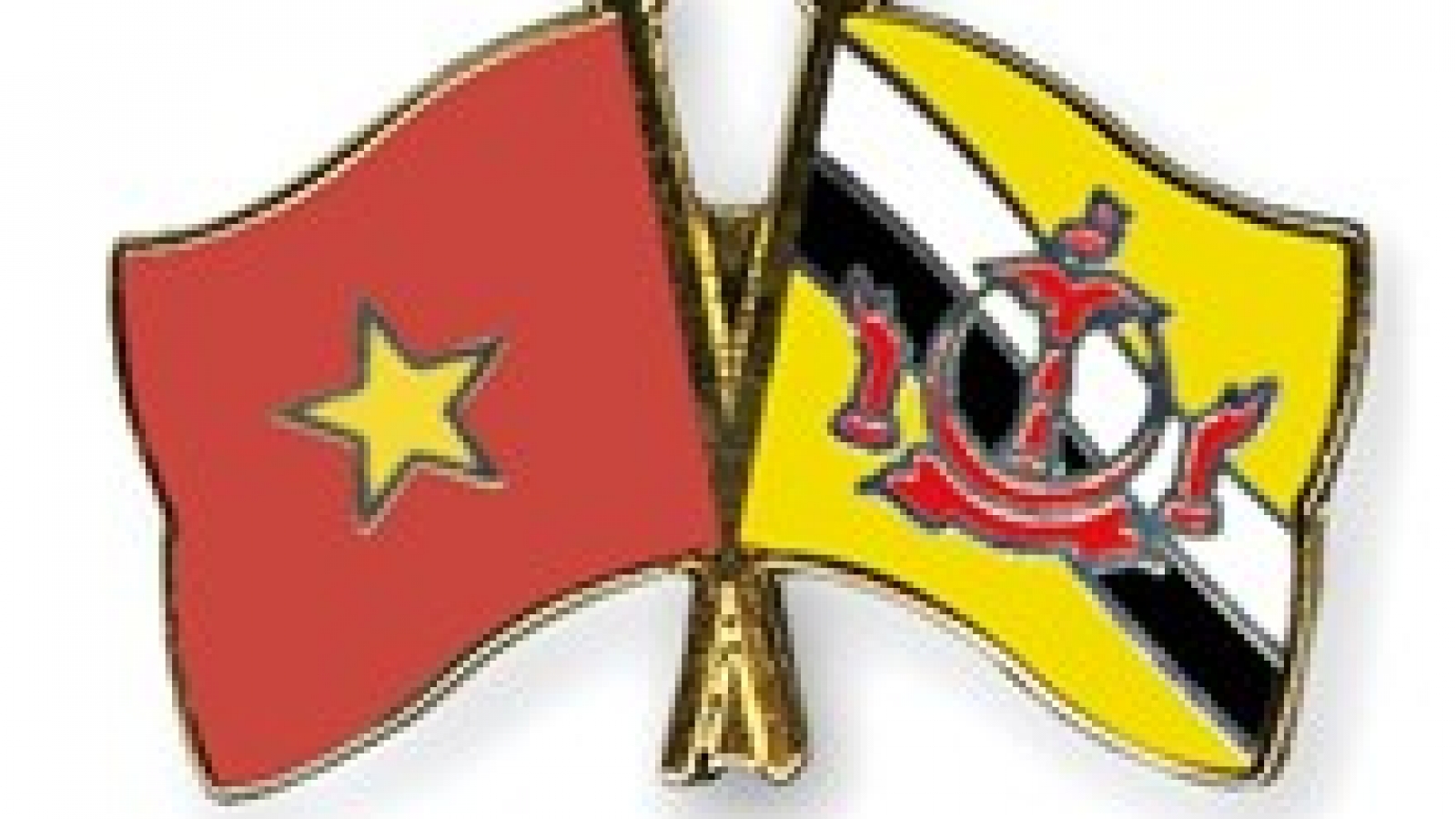 Vietnam, Brunei have expanded defence ties