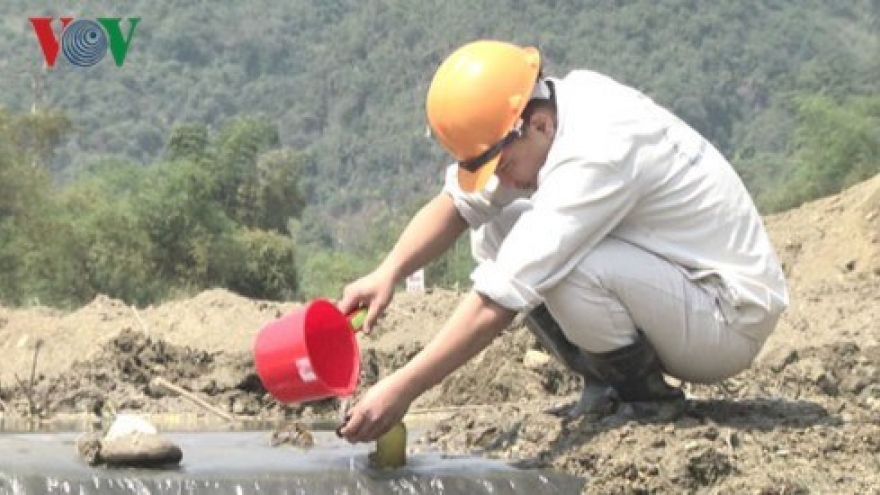 Company fined US$44,000 for breaking environmental laws