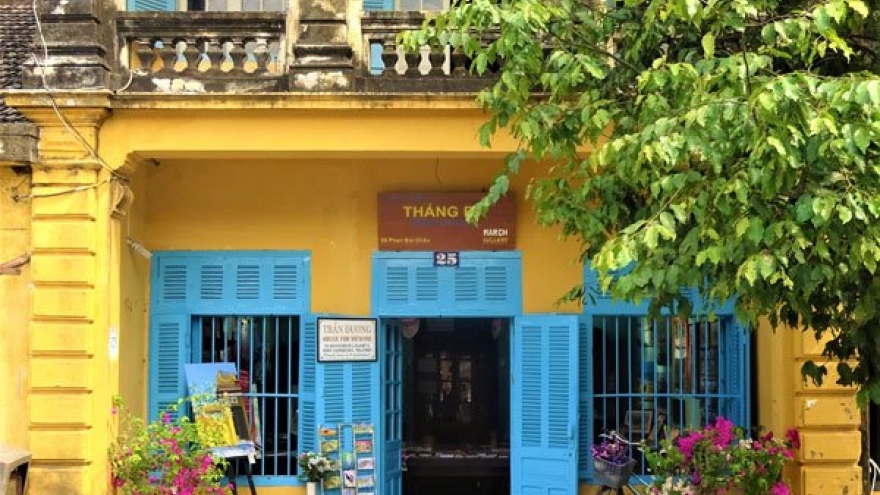 English artist Bridget March opens new gallery in Hoi An