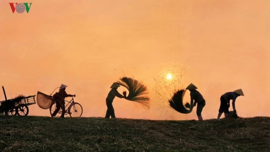 Sedge mat making in Quang Xuong district