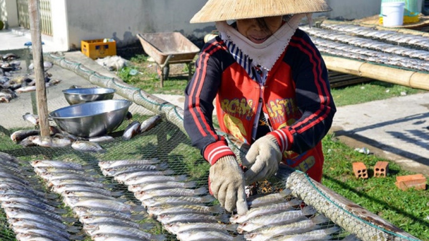 Ca Mau's fishing villages prepare for Tet