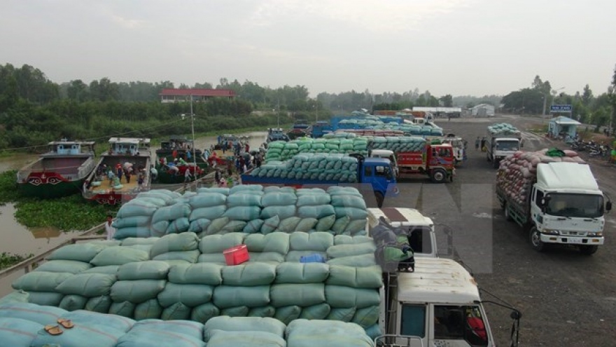 Exports through Lao Cai Int’l Border Gate surge