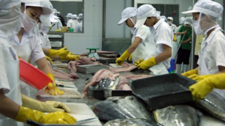 Vietnam’s tuna exports poised for a comeback