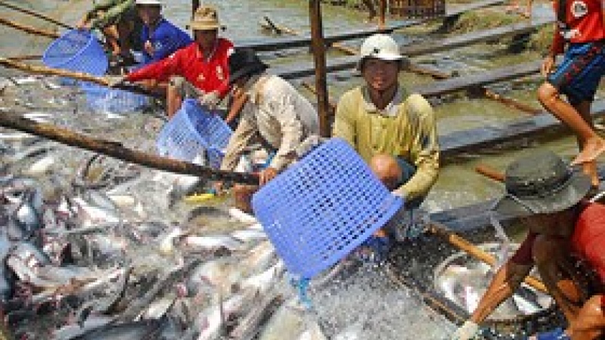 Tra fish exports to EU down by 12.8 percent