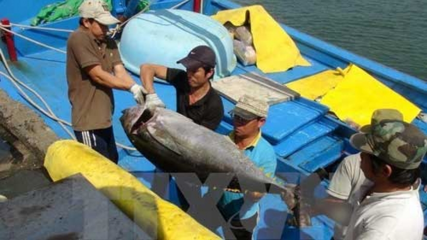 Japan to build tuna processing plant in Phu Yen