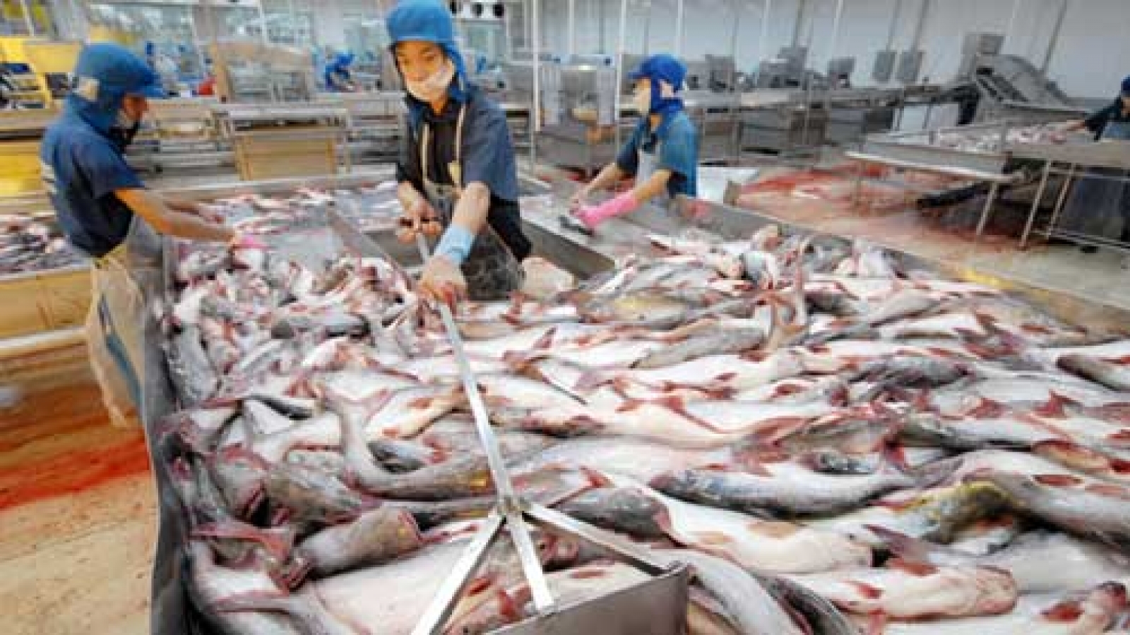 Anti-dumping lawsuits weigh down Vietnamese exports