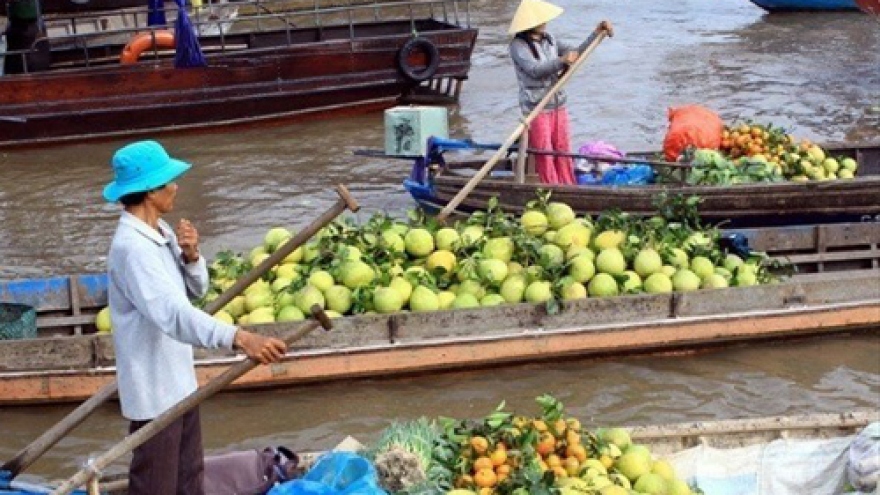 Can Tho to host int’l Mekong Delta agriculture festival