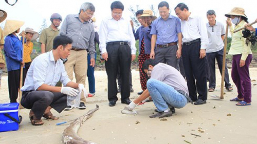 
        Mass fish deaths in central Vietnam point finger at industrial wastewater discharge
                              