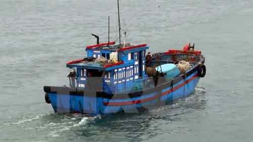 Vietnamese rep. offices work to protect nationals' legitimate rights