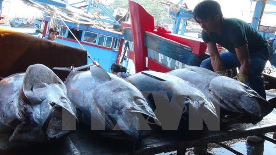 Vietnam, China boost sustainable fishery development in Tonkin Gulf