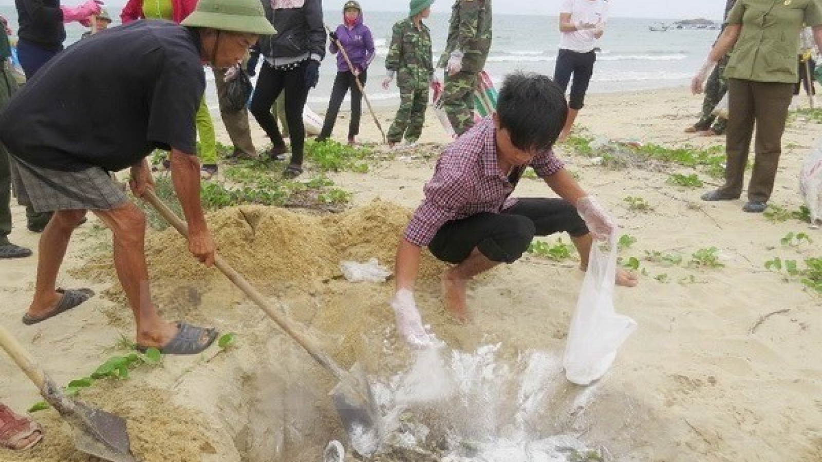 Bodies, individuals responsible for Formosa incident made public