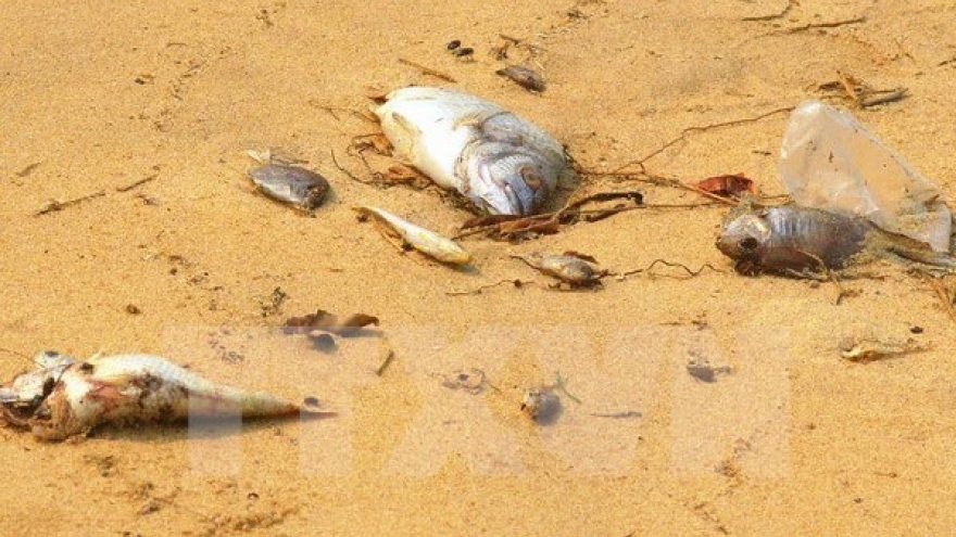 Cause of mass fish deaths needs independent commentaries