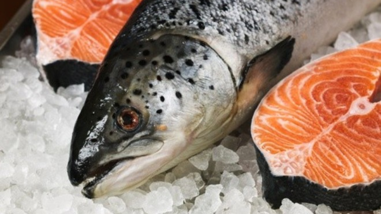 Sharp rise in imports of seafood